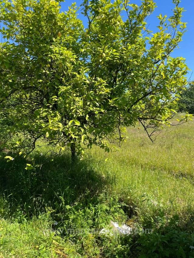 2050 M2 Satılık Tarla - Ev Yapılabiliyor