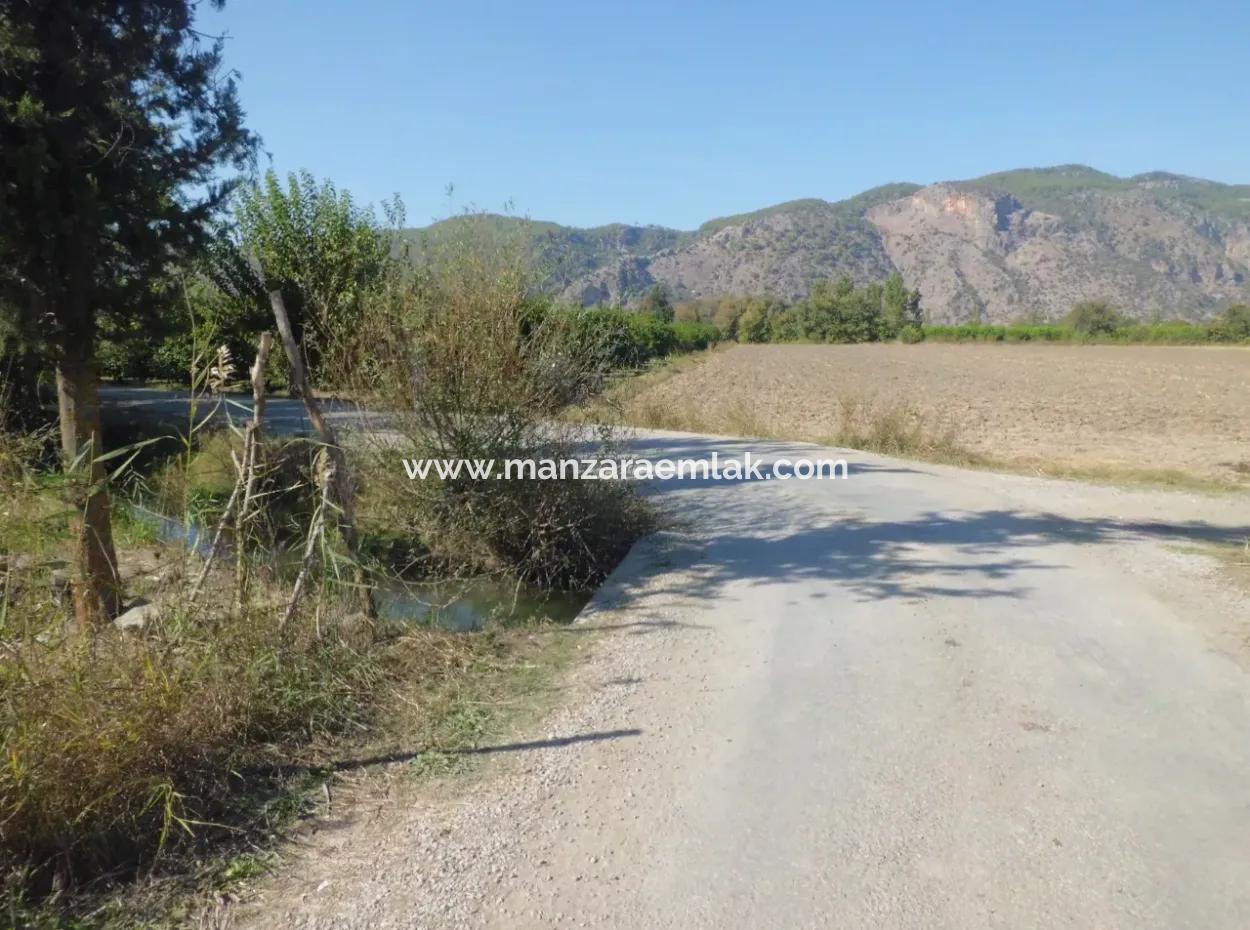 Field Share Zum Verkauf