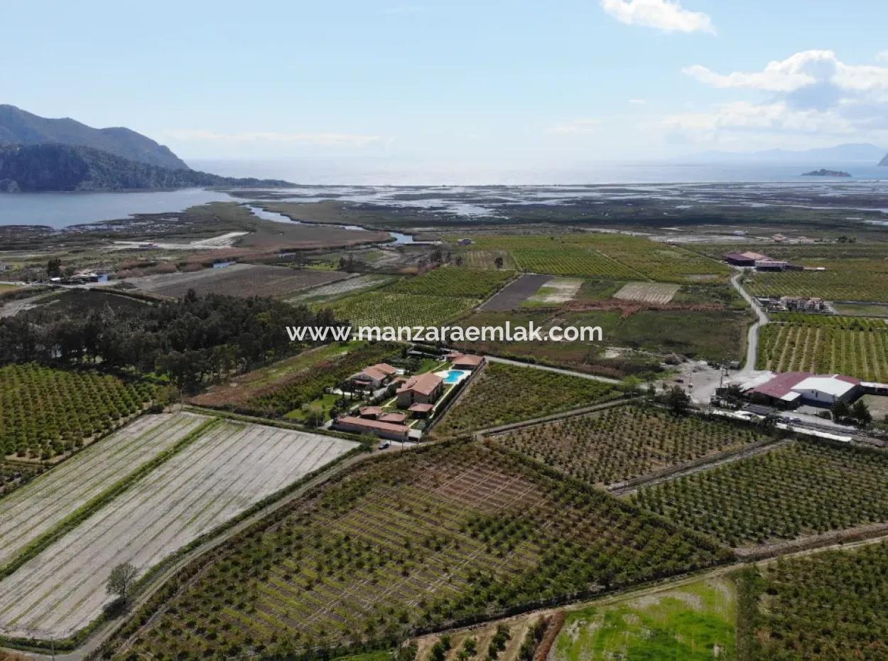 Dalyan Iztuzu Road Single Deed Feld Zum Verkauf