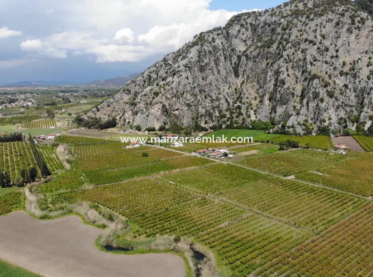 Dalyan Iztuzu Road Single Deed Feld Zum Verkauf