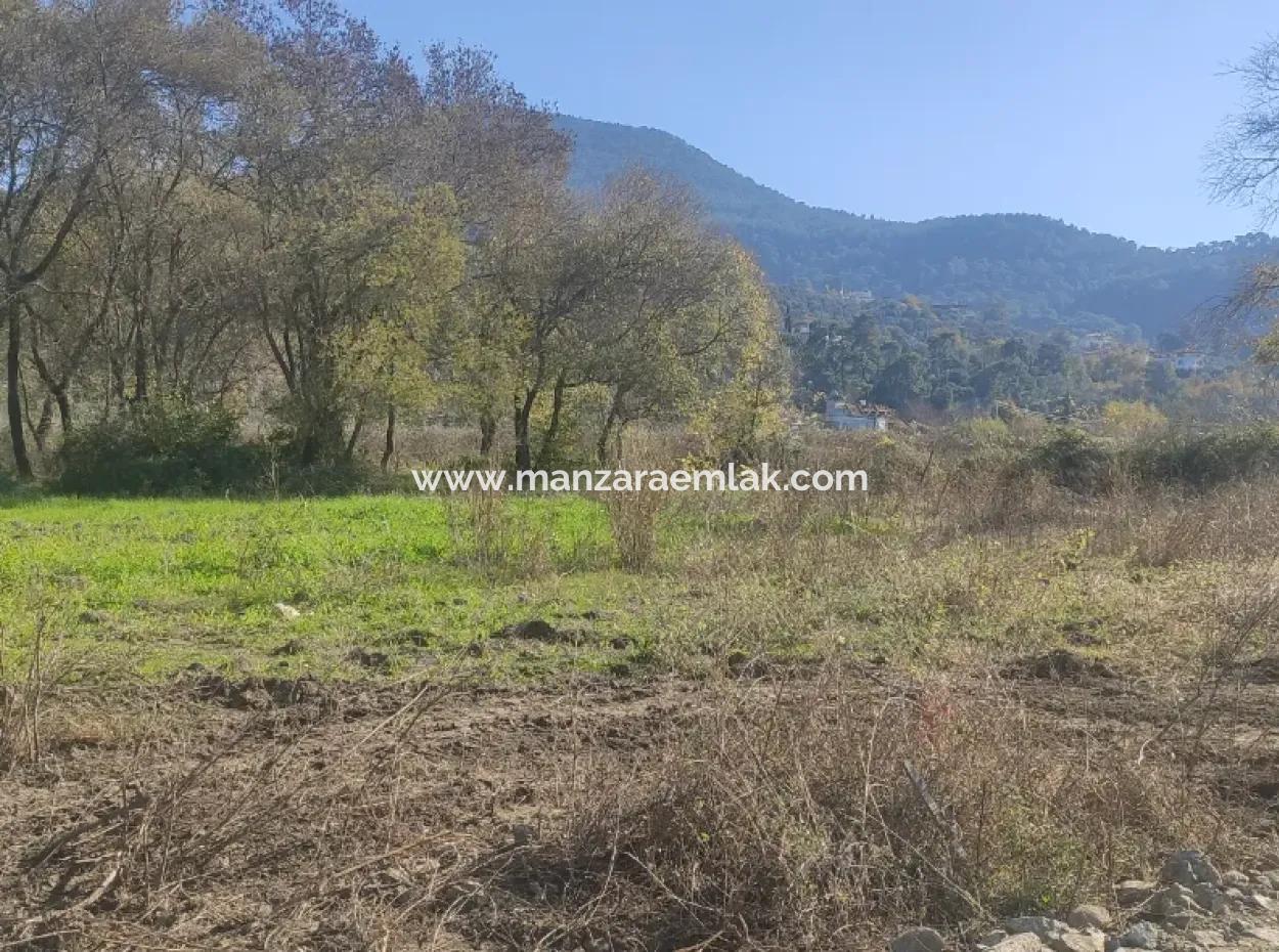 Grundstück Zum Verkauf In Çinar Arkasi Şerefler Mahallesi