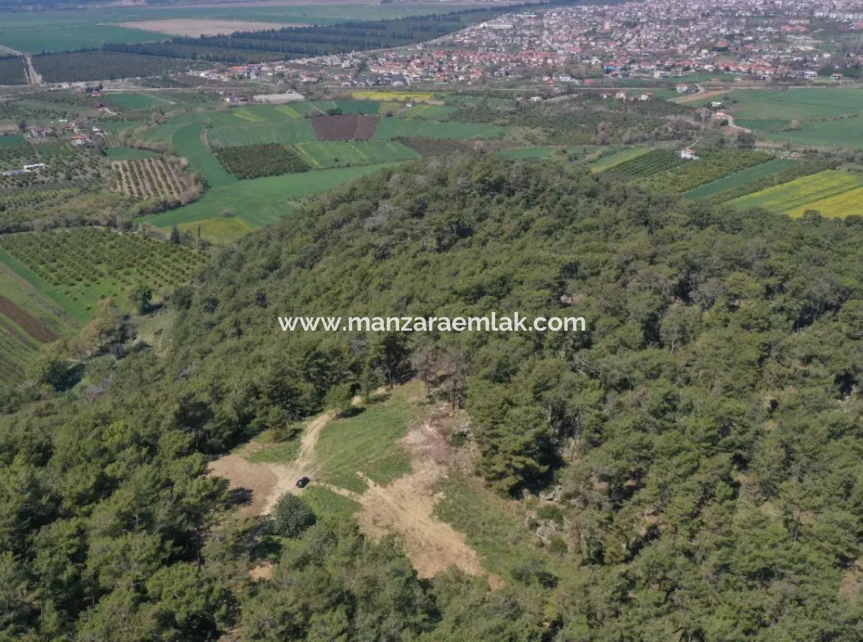 Einzeleigentumsurkunde Zum Verkauf In Kapikargin - Forest Interior -
