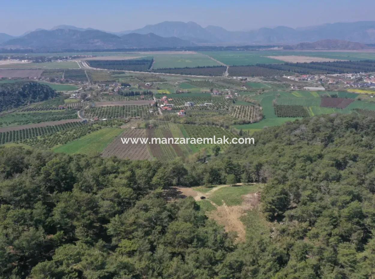 Einzeleigentumsurkunde Zum Verkauf In Kapikargin - Forest Interior -