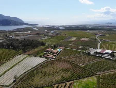 Dalyan Iztuzu Road Single Deed Feld Zum Verkauf