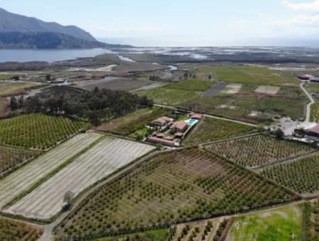 Dalyan Iztuzu Road Single Deed Feld Zum Verkauf