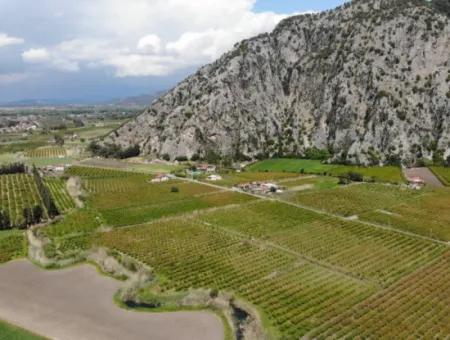 Dalyan Iztuzu Road Single Deed Feld Zum Verkauf