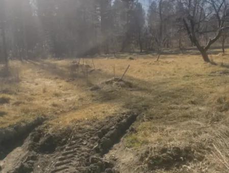 Grundstück Zum Verkauf In Gursu Plateau