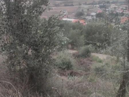 Meerblick Grundstück Zum Verkauf In Sarigermede