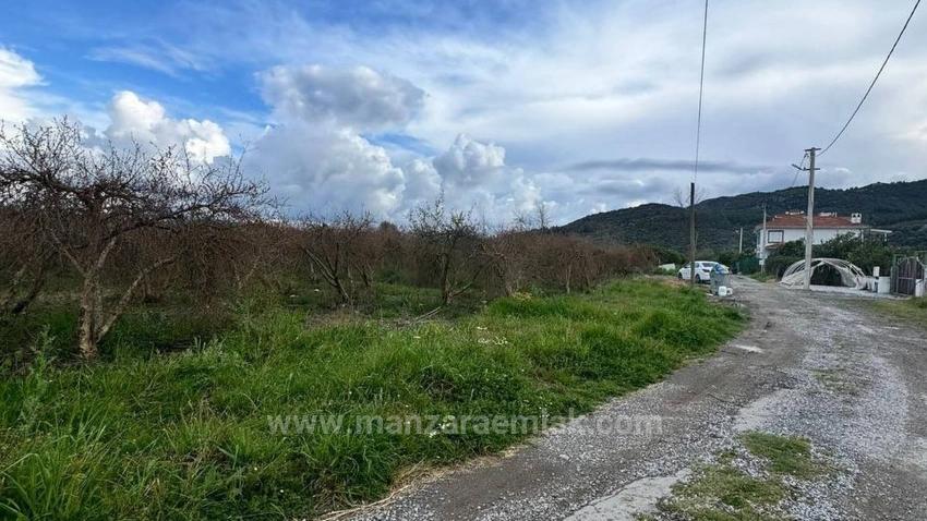 Fevziye Mahallesinde Satılık 1000 M2 Arsa