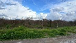 Fevziye Mahallesinde Satılık 1000 M2 Arsa