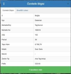 Dalaman Taşlıburun Ticari Arsa 102 Ada 36 Parsel