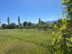 2050 M2 Satılık Tarla - Ev Yapılabiliyor