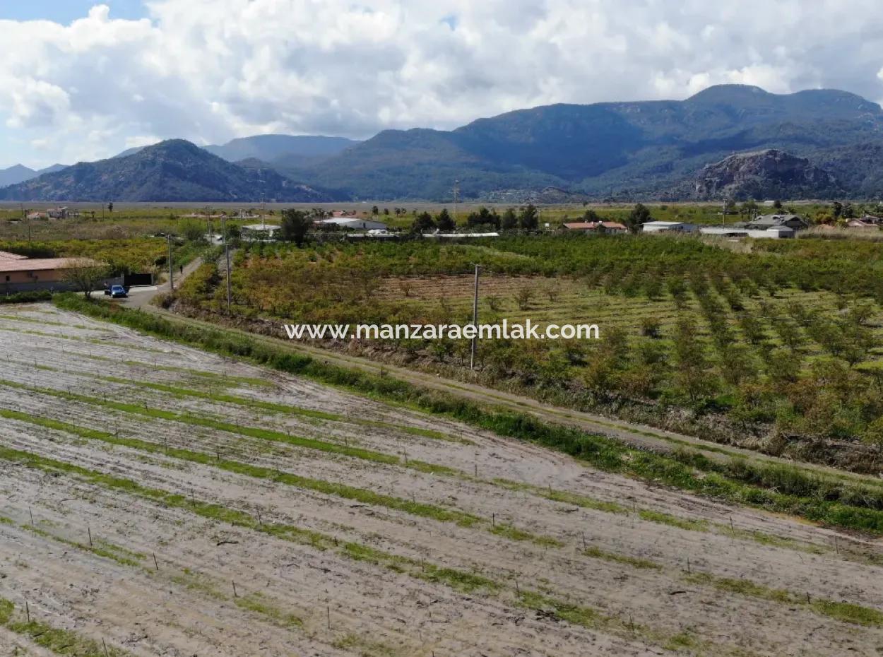 Dalyan Iztuzu Road Single Deed Field For Sale