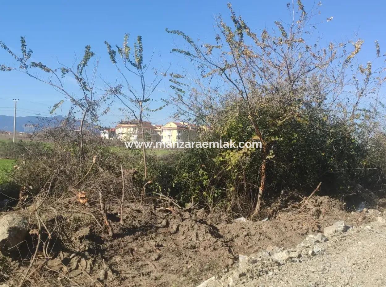 Land For Sale In Çinar Arkasi Şerefler Mahallesi