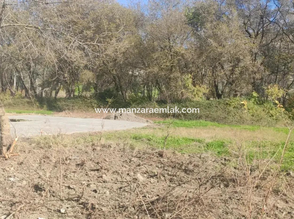 Land For Sale In Çinar Arkasi Şerefler Mahallesi