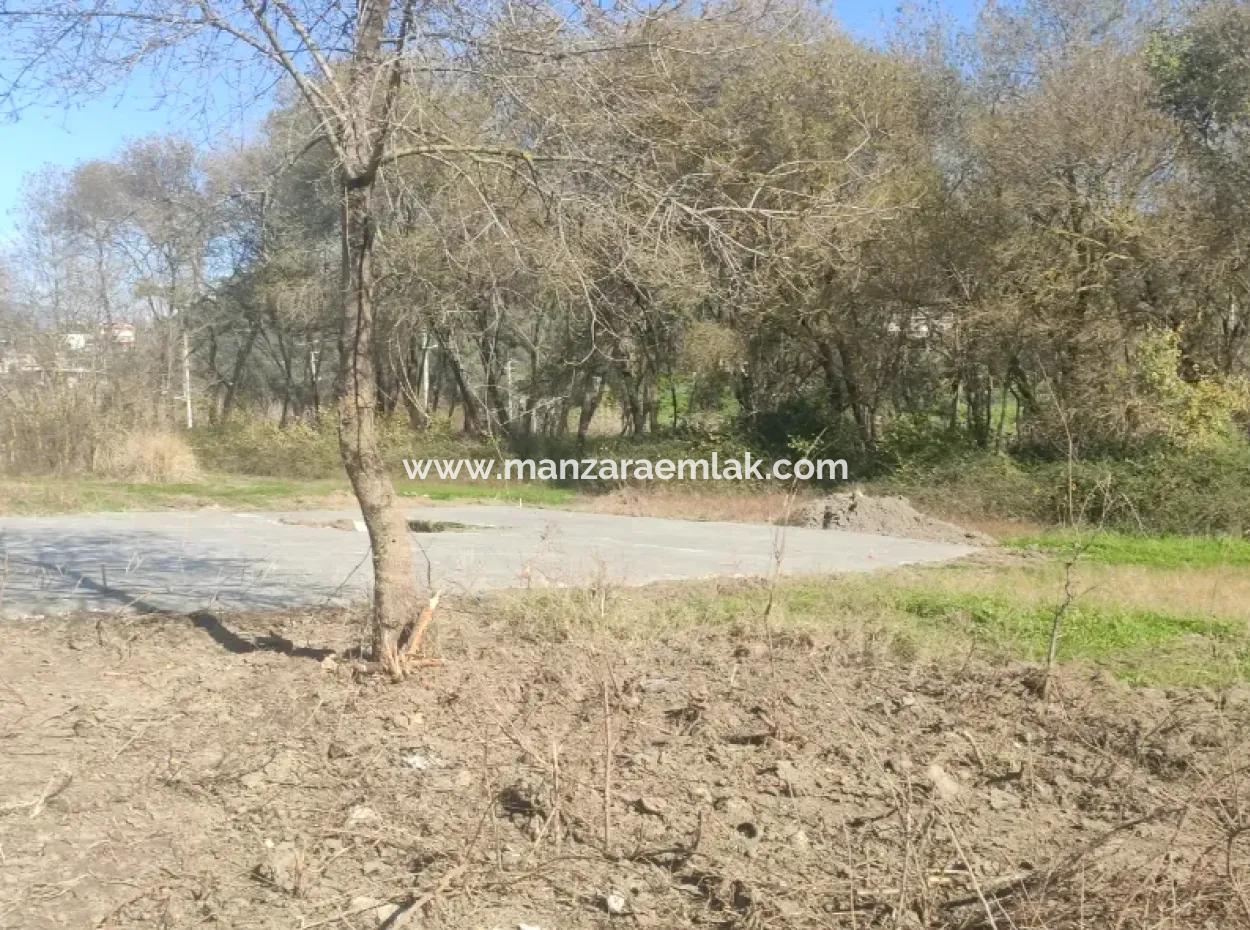 Land For Sale In Çinar Arkasi Şerefler Mahallesi