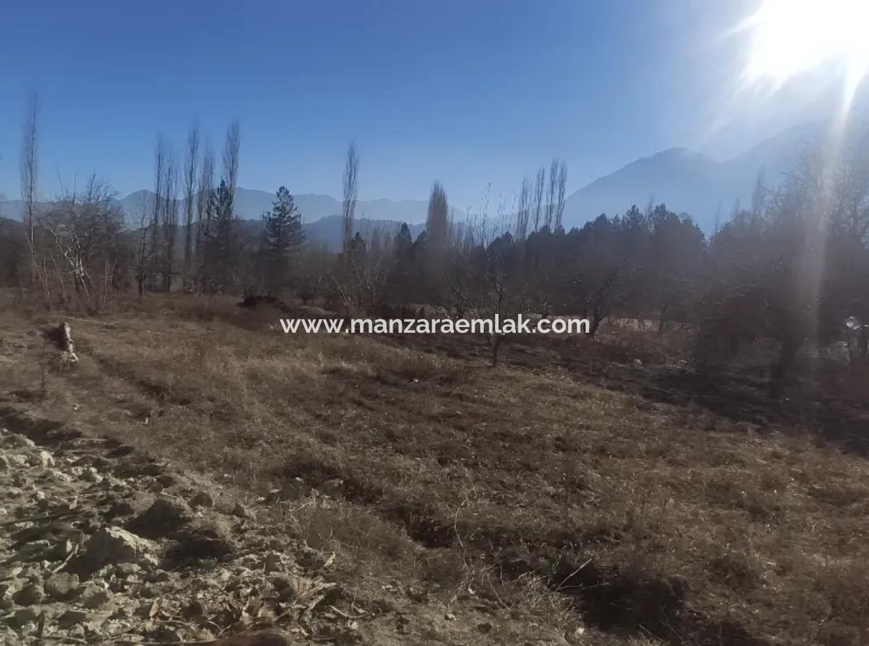 Land For Sale In Gursu Plateau