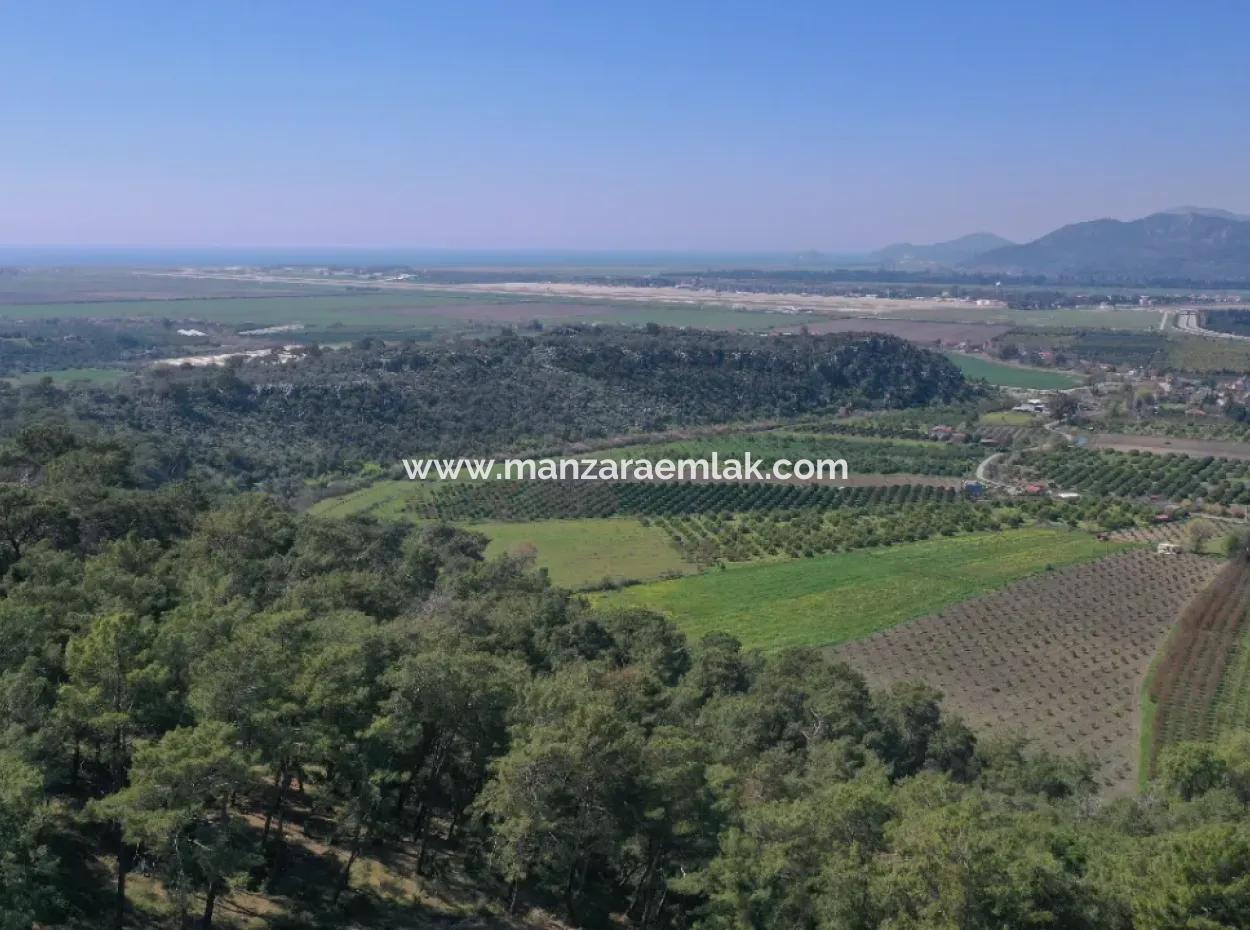 Single Title Deed For Sale In Kapikargin - Forest Interior -