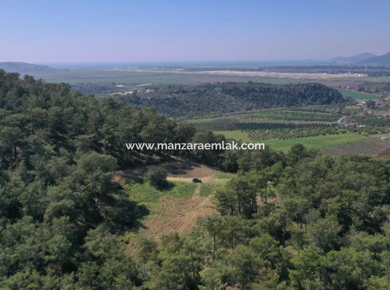 Single Title Deed For Sale In Kapikargin - Forest Interior -