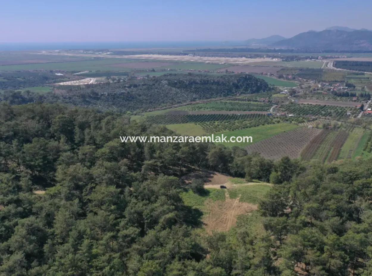 Single Title Deed For Sale In Kapikargin - Forest Interior -