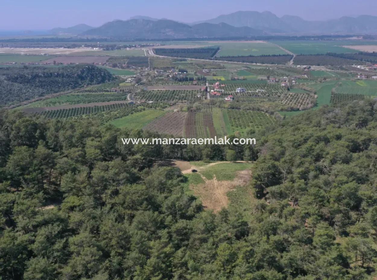Single Title Deed For Sale In Kapikargin - Forest Interior -
