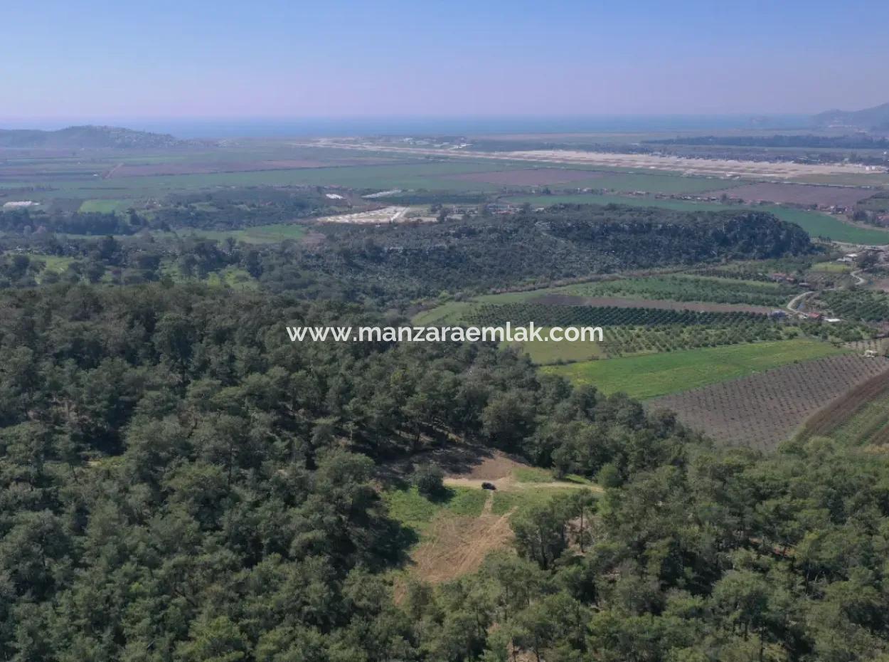 Single Title Deed For Sale In Kapikargin - Forest Interior -