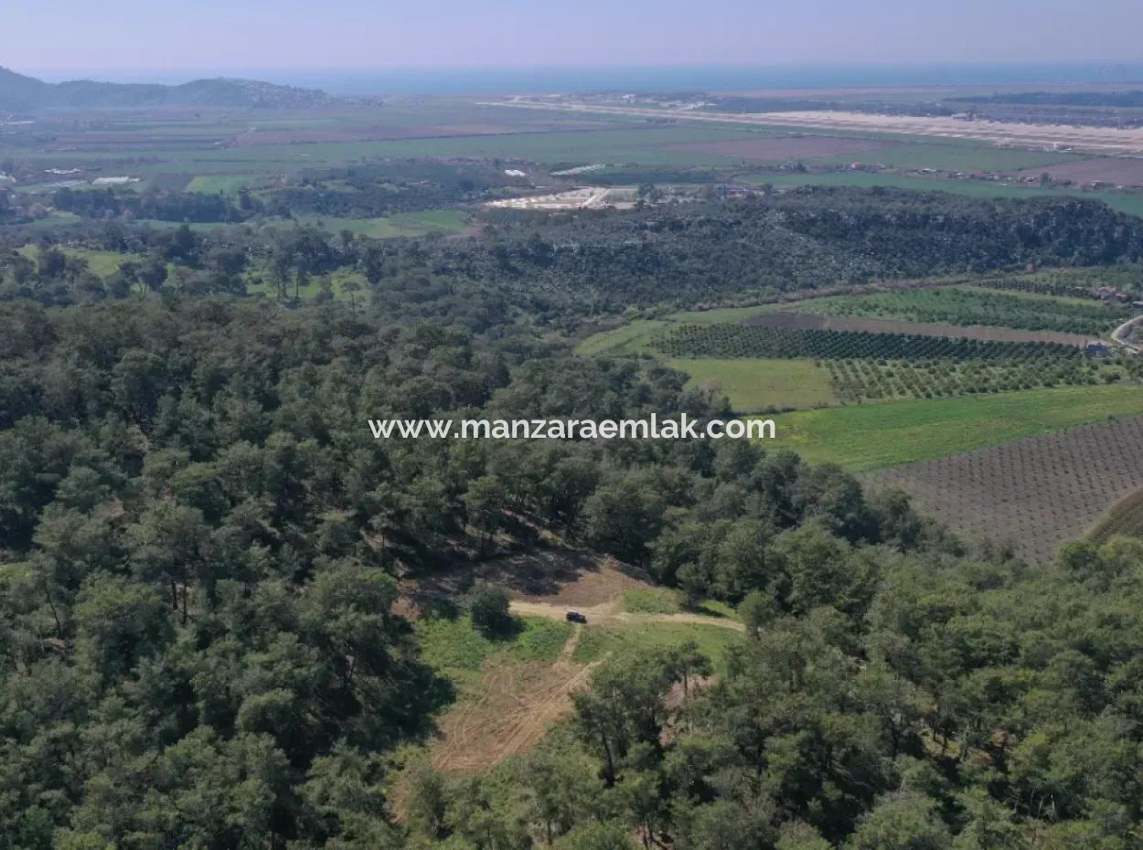 Single Title Deed For Sale In Kapikargin - Forest Interior -