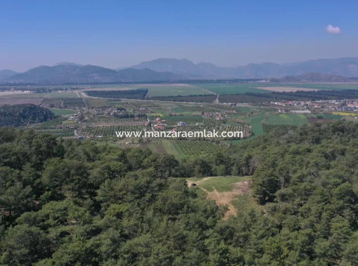 Single Title Deed For Sale In Kapikargin - Forest Interior -