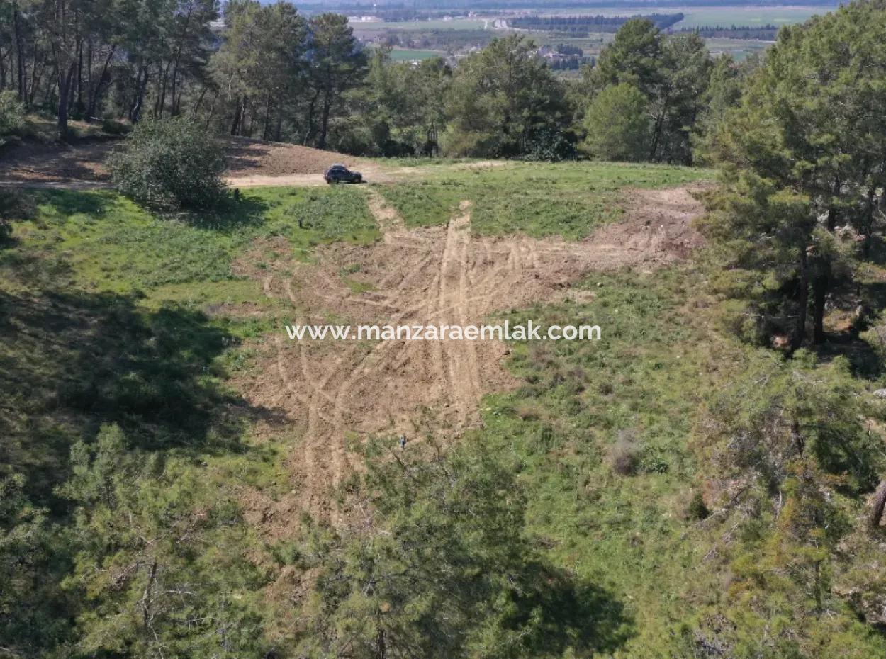 Single Title Deed For Sale In Kapikargin - Forest Interior -