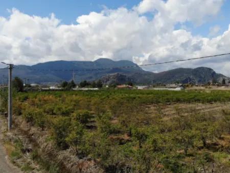 Dalyan Iztuzu Road Single Deed Field For Sale