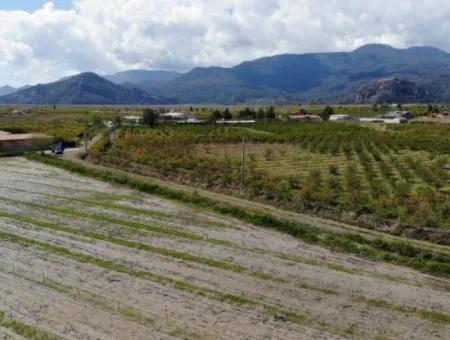 Dalyan Iztuzu Road Single Deed Field For Sale