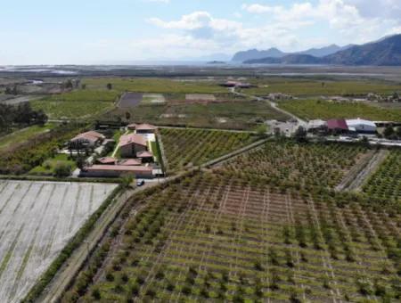 Dalyan Iztuzu Road Single Deed Field For Sale