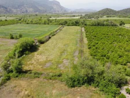 Land Share For Sale In Mergenli