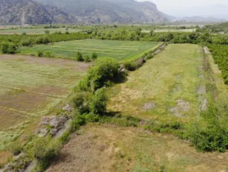Land Share For Sale In Mergenli