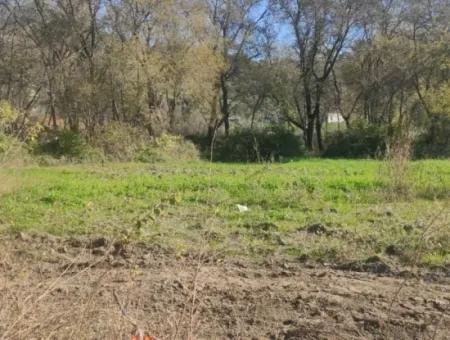 Land For Sale In Çinar Arkasi Şerefler Mahallesi