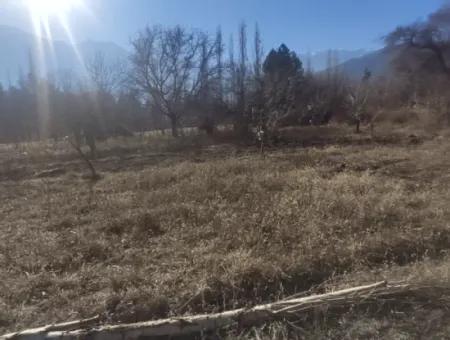 Land For Sale In Gursu Plateau