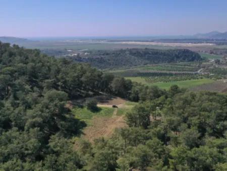 Single Title Deed For Sale In Kapikargin - Forest Interior -