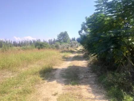 Corner Land For Sale In Ortaca Fevziye Neighborhood