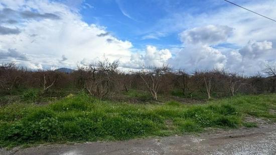 Fevziye Mahallesinde Satılık 1000 M2 Arsa