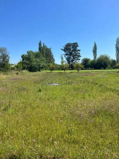 2050 M2 Satılık Tarla - Ev Yapılabiliyor