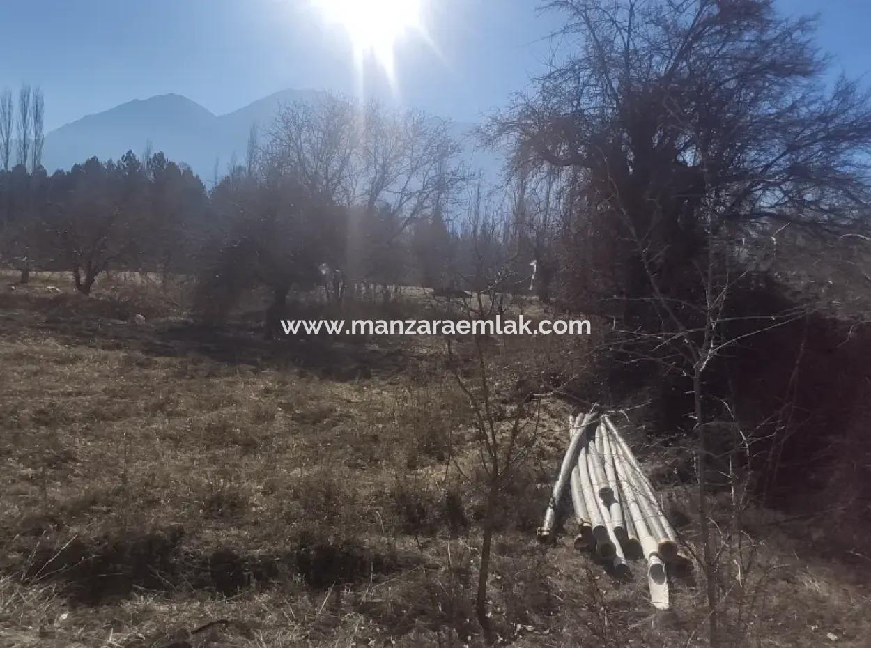 Gürsu Yaylasında Satılık Arsa