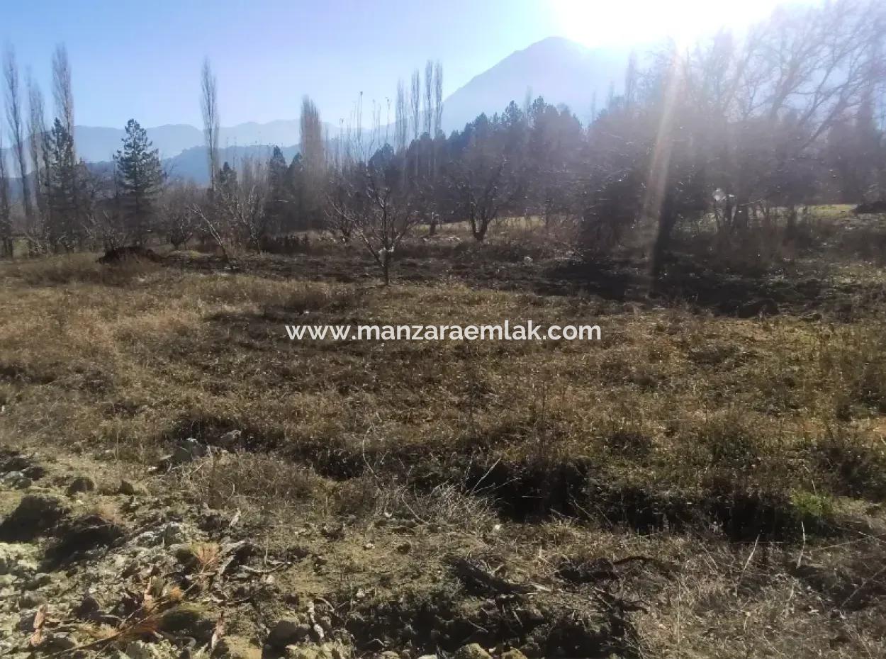 Gürsu Yaylasında Satılık Arsa