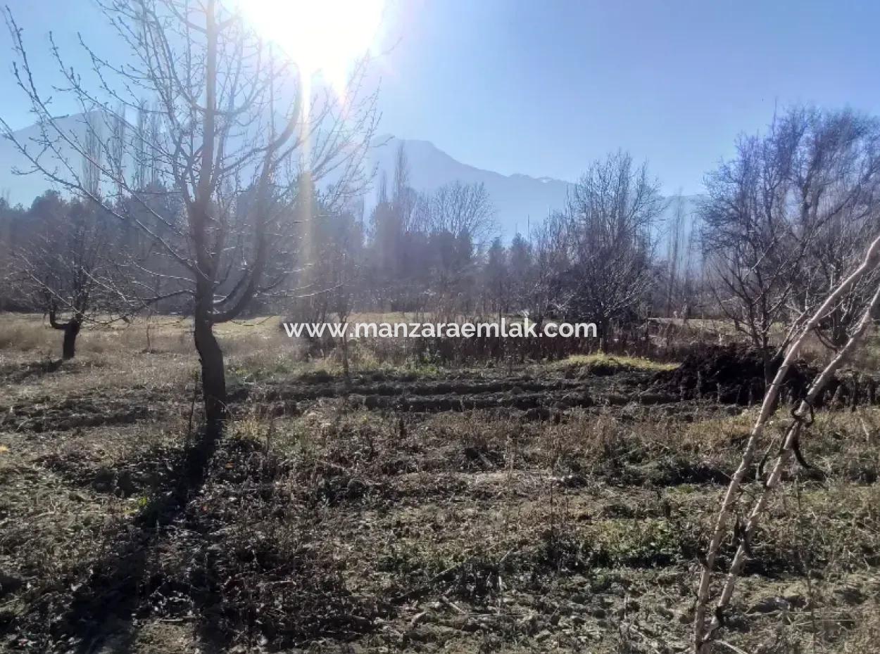 Gürsu Yaylasında Satılık Arsa