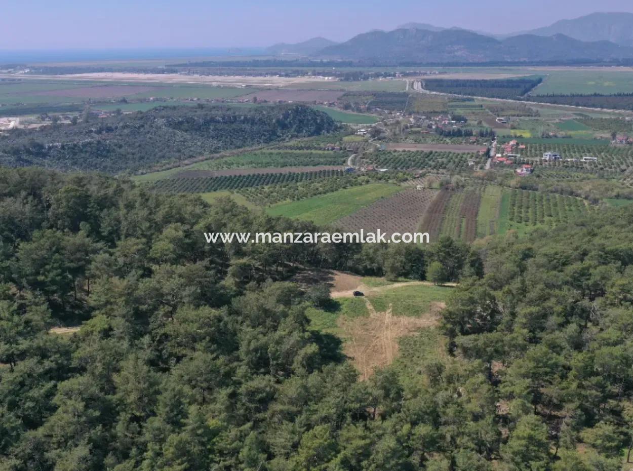 Kapıkargın'da Satılık Tek Tapu Tarla - Orman İçince -