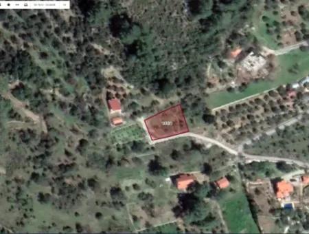 Göcek Gökceovacık Mahallesinde Satılık Köy Yerleşim Alanı İçinde Tarla