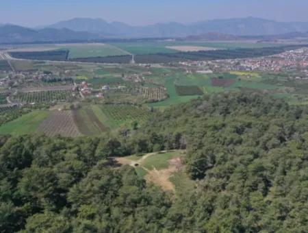 Kapıkargın'da Satılık Tek Tapu Tarla - Orman İçince -