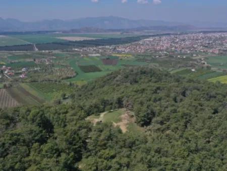 Kapıkargın'da Satılık Tek Tapu Tarla - Orman İçince -