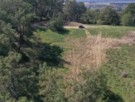 Kapıkargın'da Satılık Tek Tapu Tarla - Orman İçince -